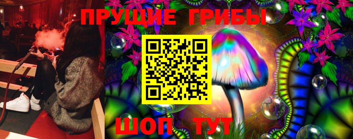 Псилоцибиновые грибы Cubensis Балашов