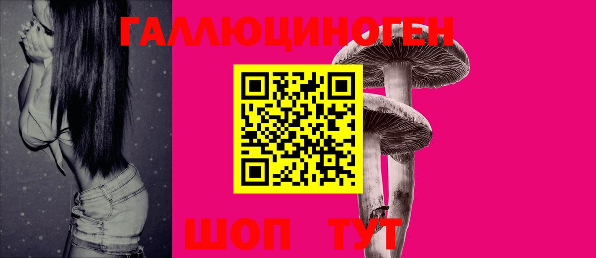 Балашов  Галлюциногенные грибы Psilocybine cubensis  Вход с VPN 